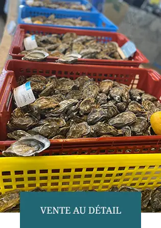 vente d'huîtres Sarzeau dans le Morbihan