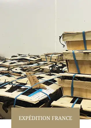 vente d'huîtres Sarzeau dans le Morbihan