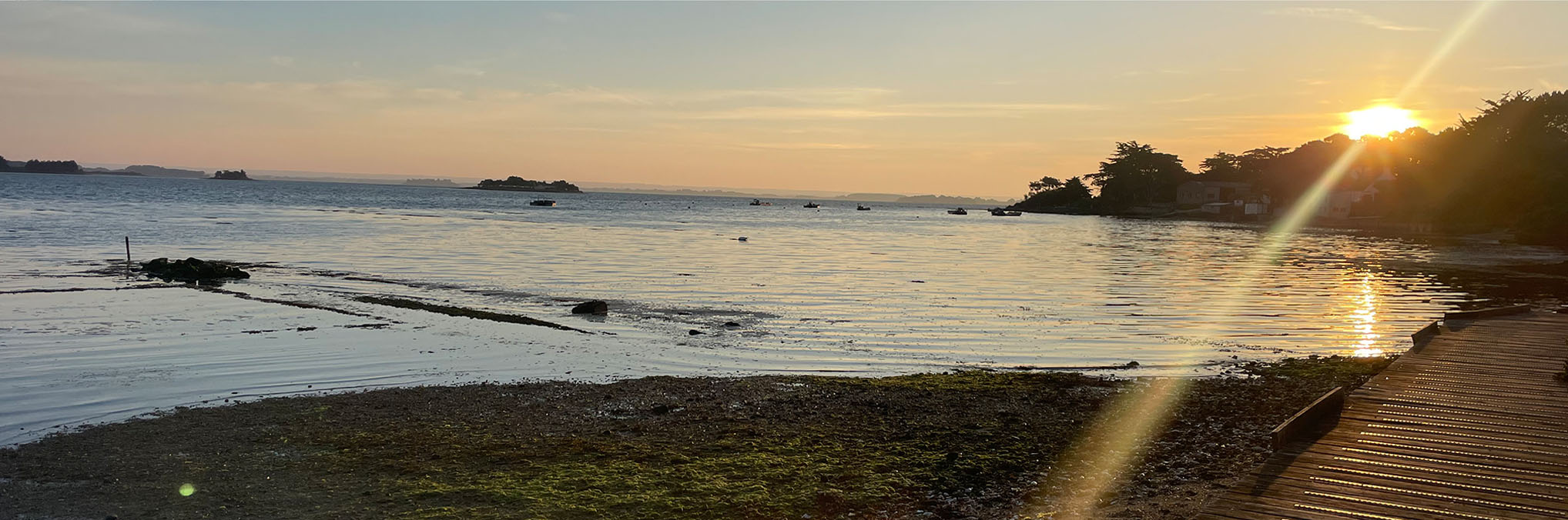 L’OSTREA DU GOLFE