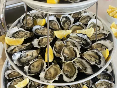 Huîtres pour vos évènements dans le Morbihan