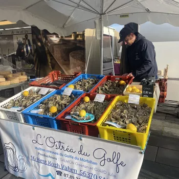 Vente d’huîtres sur les marchés dans le Morbihan 