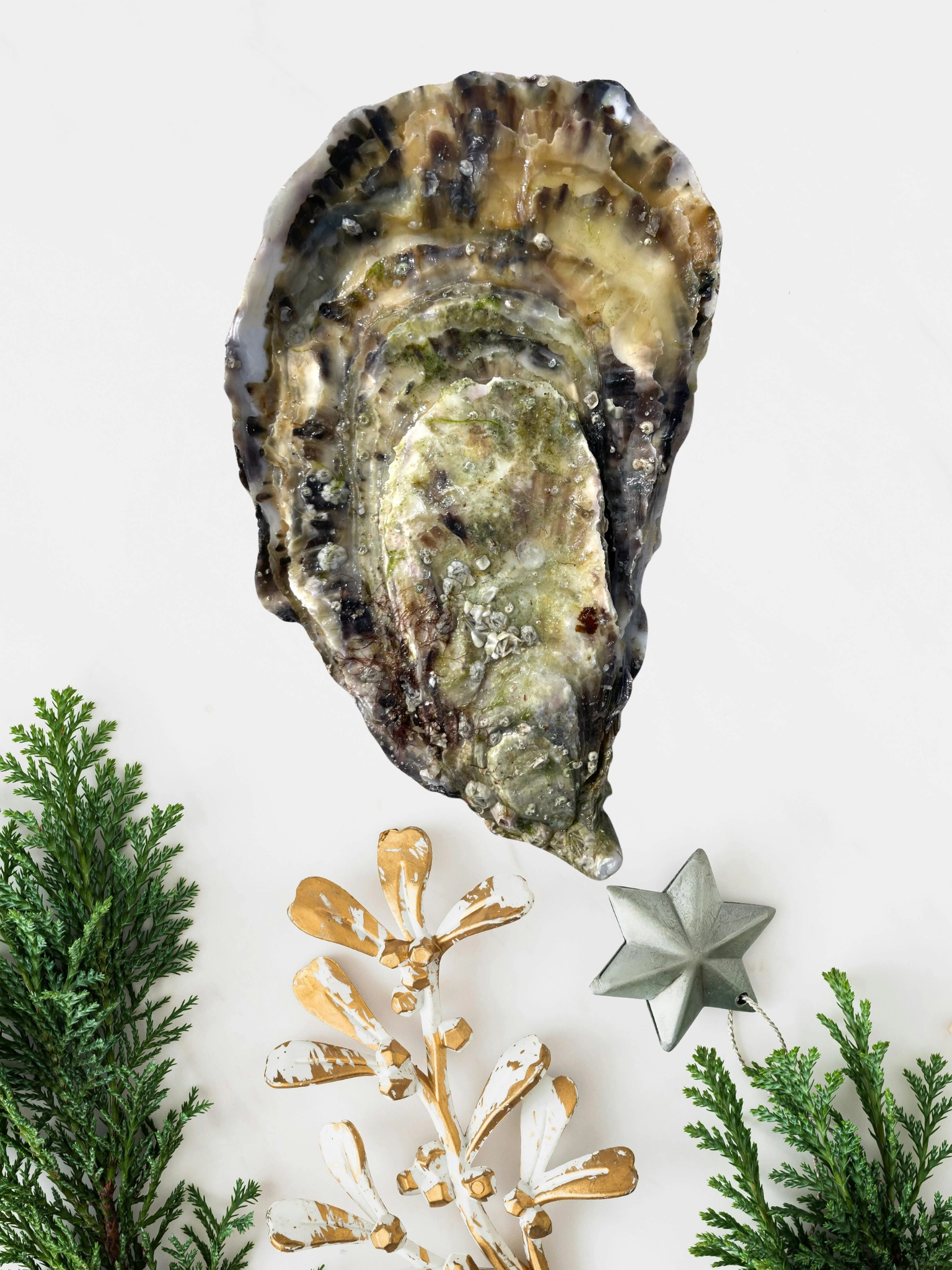  vente d'hu&icirc;tres Sarzeau dans le Morbihan